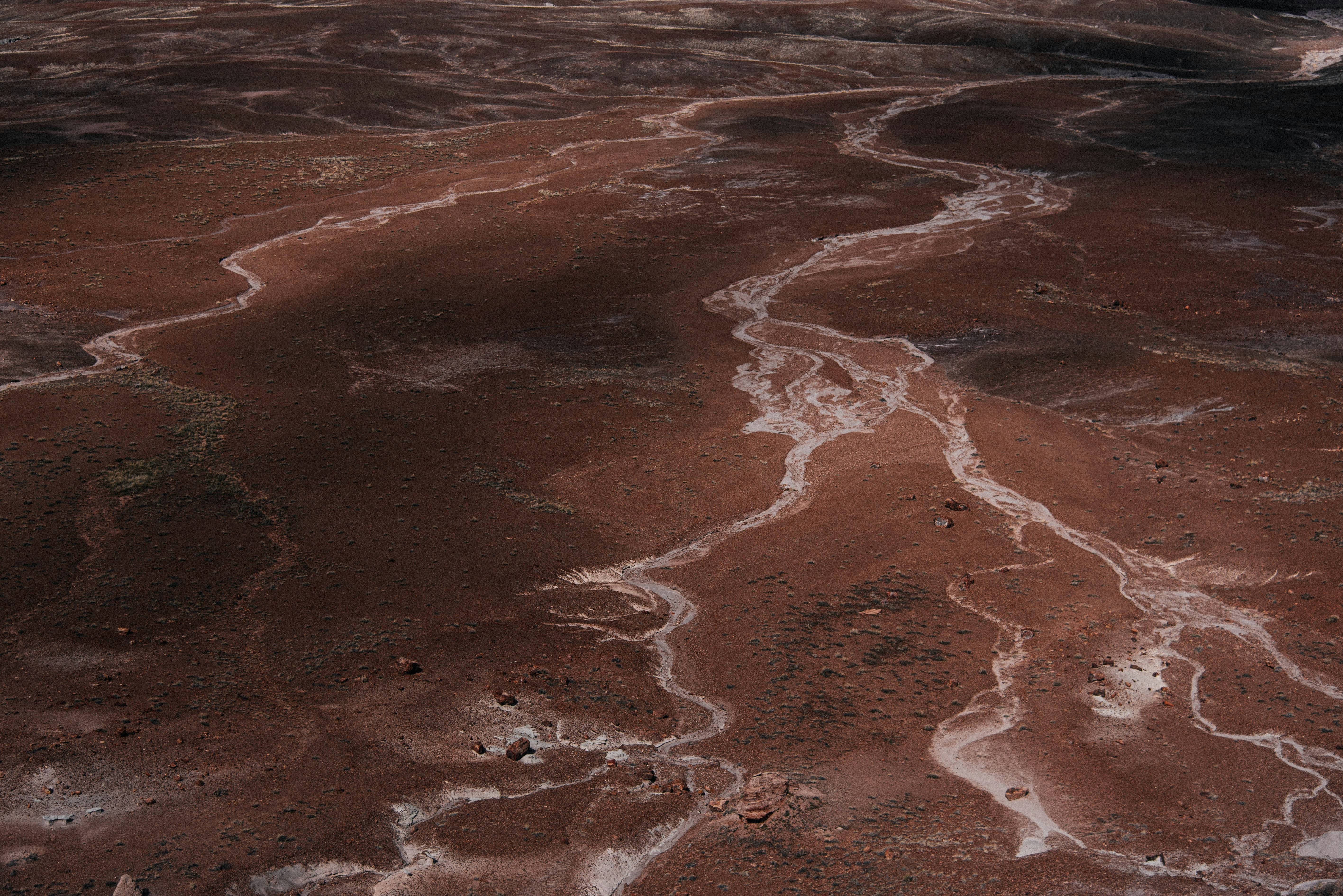 body of water during daytime